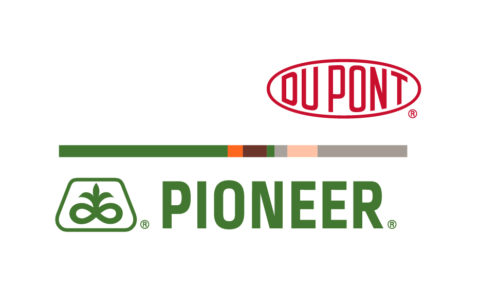 Pioneer Hi-Bred | Hammes Seed Inc.